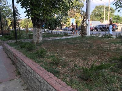 Прикрепленное изображение: IMG_1195.JPG